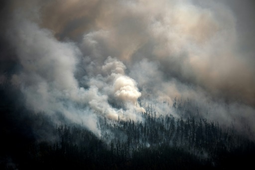 En Sibérie, le changement climatique déchaîne les feux de forêts