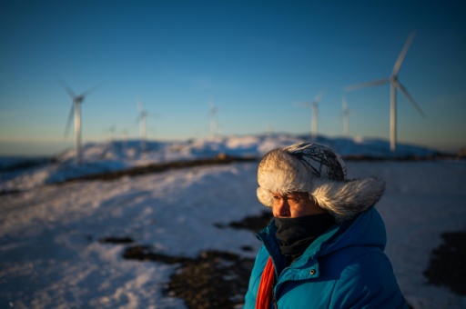 En Laponie, les éleveurs de rennes se rebiffent contre les éoliennes