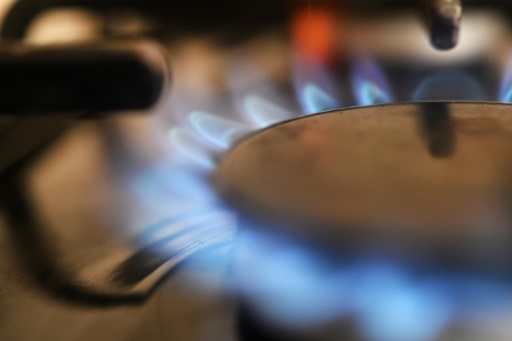 Gaz : l'Allemagne active son plan d'urgence pour garantir l'approvisionnement