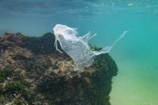 "Ils sont partout" : des océans au corps humain, l'intrusion insidieuse des microplastiques