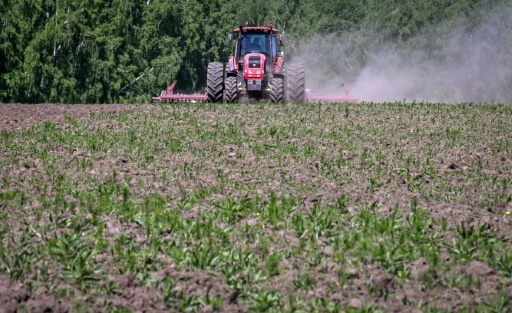 Sanctions : dans les champs russes, les agriculteurs se replient sur leur pays