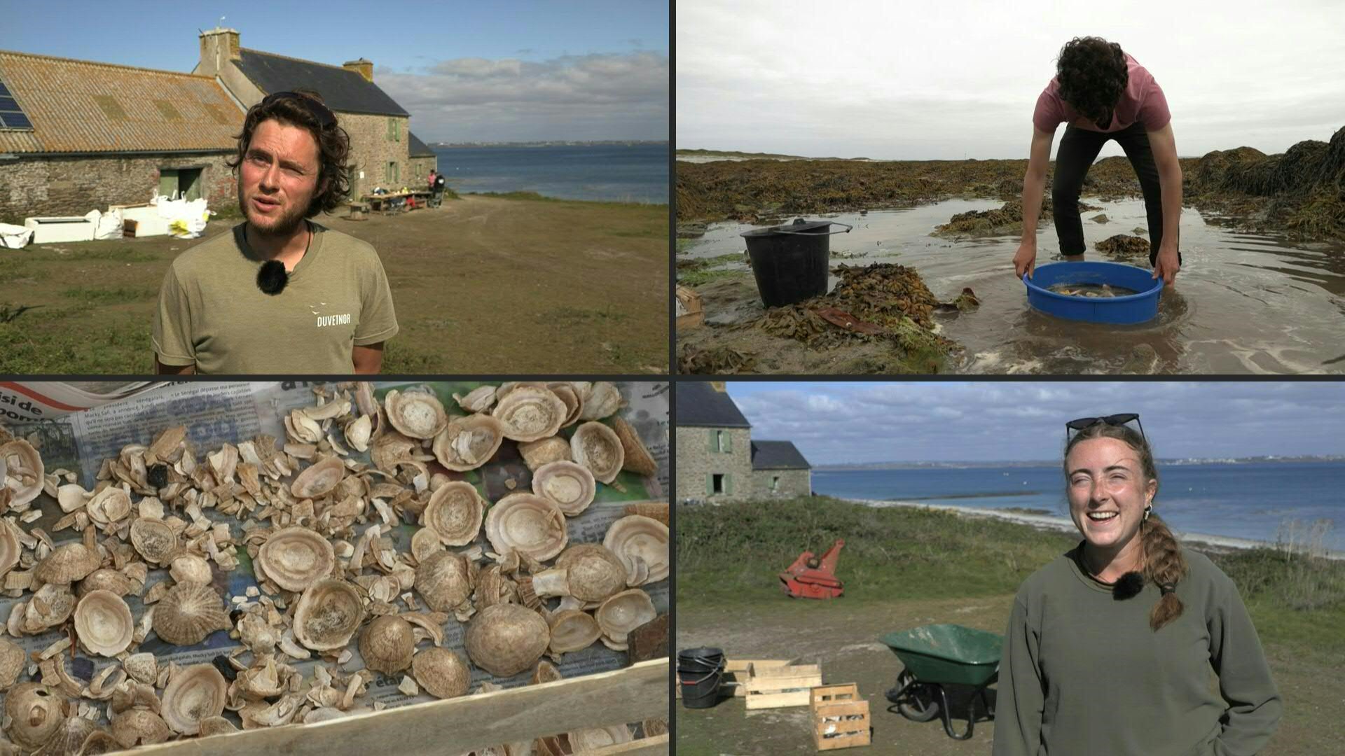 Des archéologues fouillent les poubelles de l'âge du Bronze sur une île française de l'Atlantique