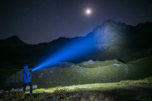 Dans les Alpes suisses, effrayer le loup pour mieux le protéger lui... et les troupeaux