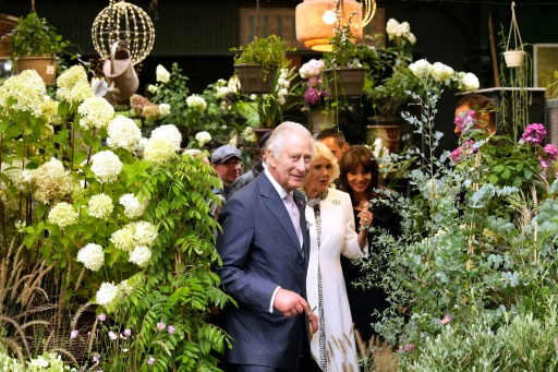 Maire écolo, forêt et vin bio à Bordeaux pour Charles III l'écologiste