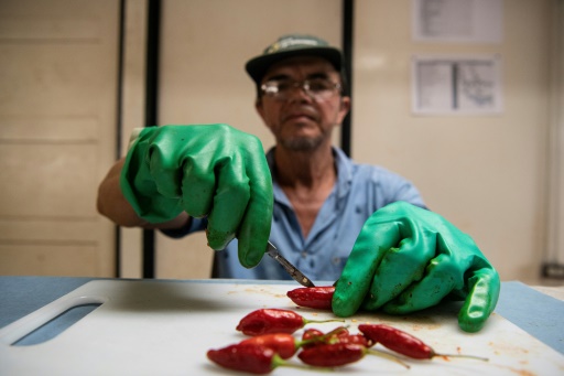 Au Costa Rica, une banque de semences pour nourrir les générations futures