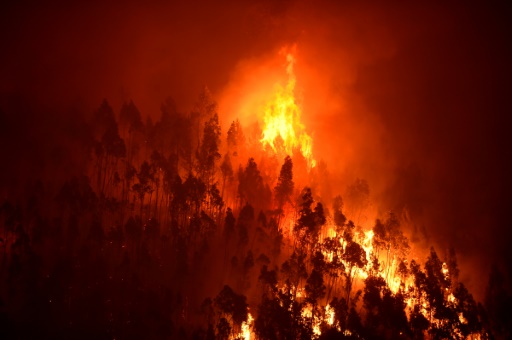 La CEDH se penche sur "l'inaction climatique" de 32 Etats