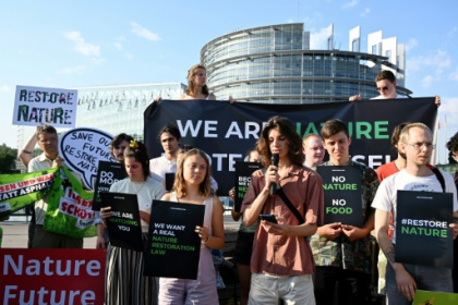 Le Parlement européen donne un premier feu vert au projet de restauration des écosystèmes.jpg