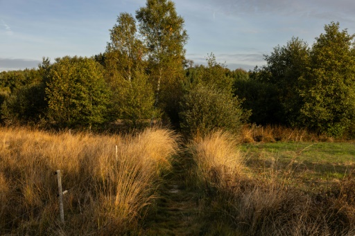 L'UE parvient à un accord sur un texte clé sur la biodiversité