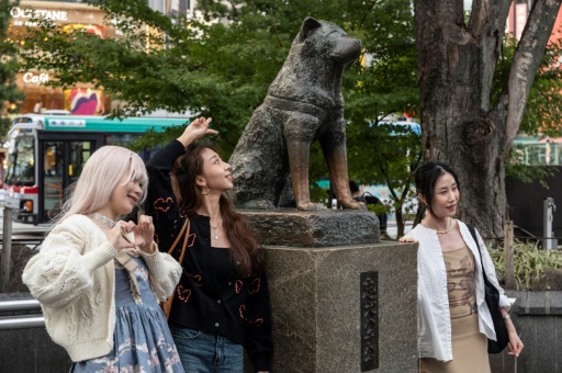 Tokyo fête les 100 ans de Hachiko, le chien symbole de loyauté