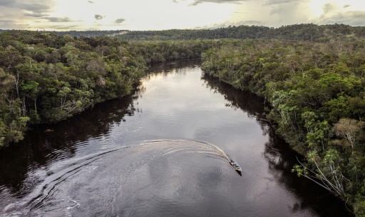 Cow-boys des crédits carbone contre indigènes, la bataille colombienne contre le greenwashing