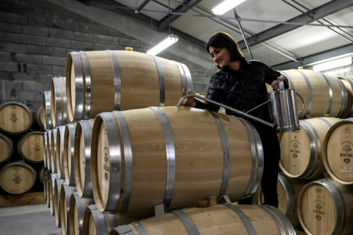 Dans le Bordelais, la révolution de palais des vins sans alcool