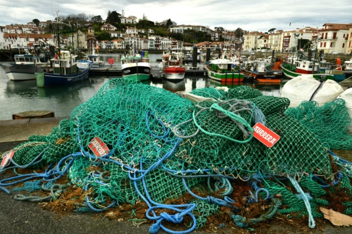 Golfe de Gascogne : interdiction de pêche inédite pour protéger les dauphins