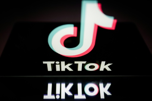 L'avenir de TikTok en suspens devant un tribunal américain