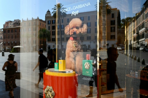 Les stylistes italiens Dolce&Gabbana lancent un parfum pour chiens déjà contesté