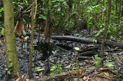 "Ca suffit" : l'indignation des peuples de l'Amazonie équatorienne face à l'extraction pétrolière