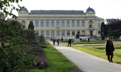 Le Musée de l'Homme explore l'odyssée humaine des migrations