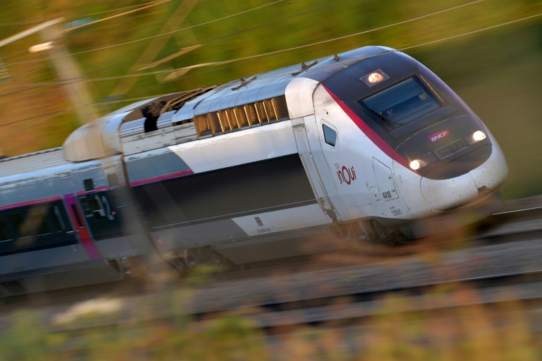 Le train toujours plébiscité en 2023 malgré le prix et une ponctualité dégradée, selon un rapport