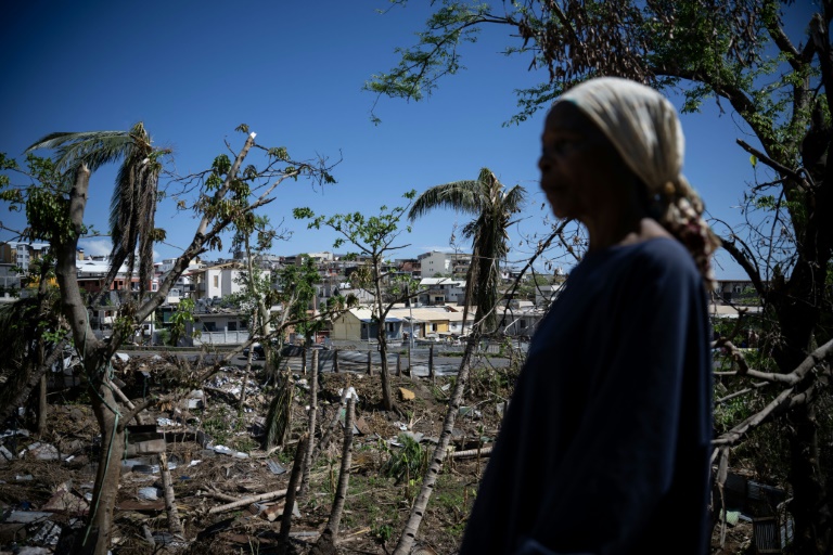 La flore et la faune de Mayotte dévastées, comme "une déflagration qui a tout soufflé"