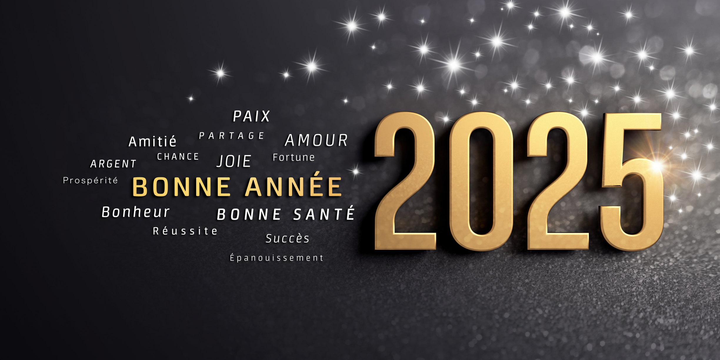 Bonne année 2025 !