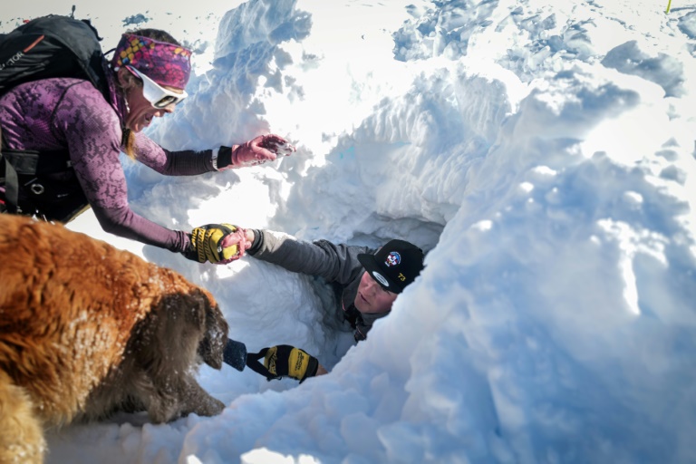 Les chiens d'avalanche à l'entraînement avant la déferlante des vacanciers