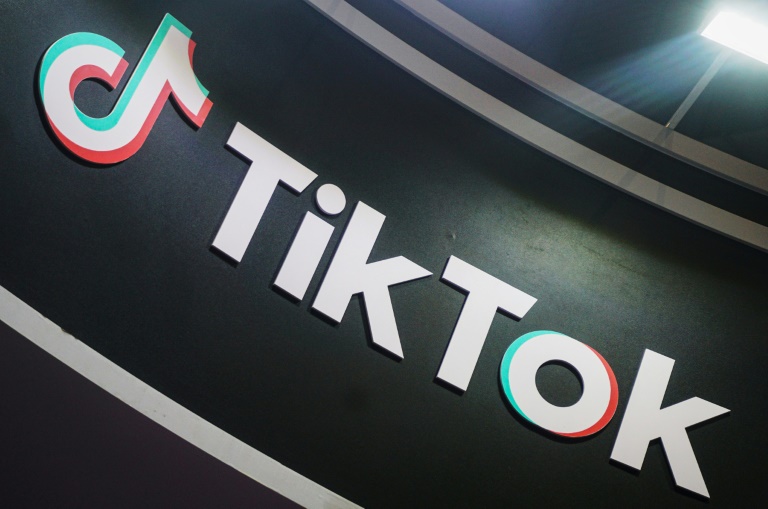 Effets psychologiques de TikTok sur les mineurs : l'Assemblée en passe de créer une commission d'enquête