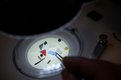 Des microplastiques sous un microscope d'un laboratoire de l'université britannique de Plymouth
en février 2023 Des microplastiques sous un microscope d'un laboratoire de l'université britannique de Plymouth
en février 2023