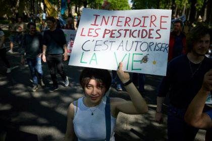 Une manifestante tient une pancarte sur laquelle on peut lire "Interdire les pesticides, c'est permettre la vie" lors d'une marche "Noisy Spring" contre les pesticides à Paris, le 5 avril 2025 Une manifestante tient une pancarte sur laquelle on peut lire "Interdire les pesticides, c'est permettre la vie" lors d'une marche "Noisy Spring" contre les pesticides à Paris, le 5 avril 2025
