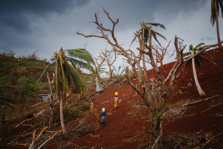 Six mois après Chido, la végétation repousse fragilement à Mayotte