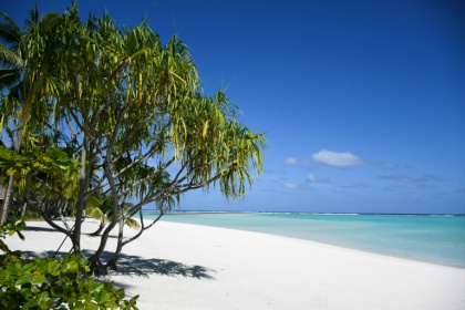 Une plage de l'île privée de Nukutepipi dans l'archipel polynésien des Tuamotu, le 18 juillet 2019 - Mike LEYRAL (AFP)