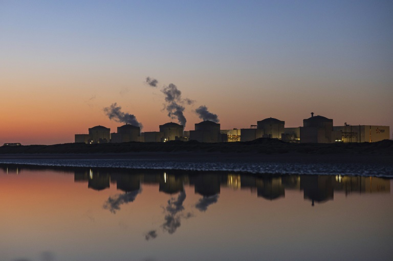 Des méduses forcent l'arrêt de la centrale nucléaire de Gravelines