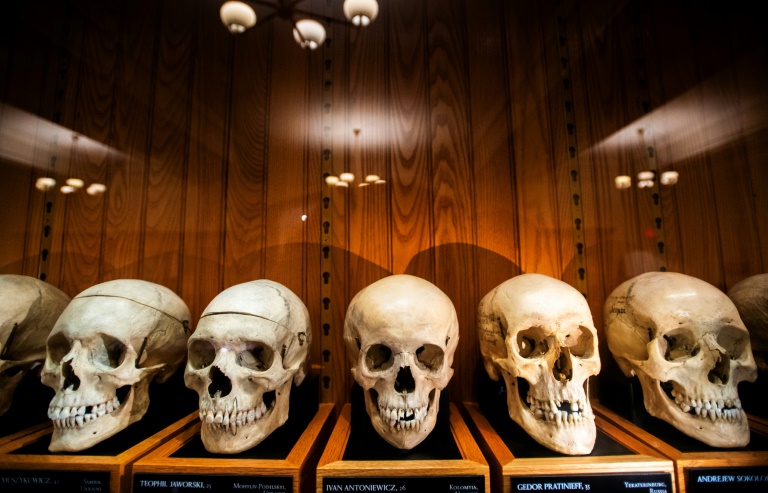 Foetus et squelettes : dans un musée américain, des restes humains au coeur d'un débat éthique