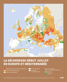 La sécheresse en Europe et Méditerranée début juillet 2025 - Nalini LEPETIT-CHELLA, Valentina BRESCHI (AFP)