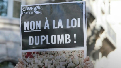  - Quentin TYBERGHIEN, Ludovic VICKERS, Guillaume BONNET, Marion PAYET, Sylvie GUYOT (AFP)