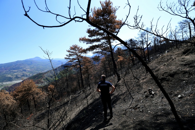 Après des incendies monstres, l'Albanie doit repenser l'avenir de ses forêts Après des incendies monstres, l'Albanie doit repenser l'avenir de ses forêts