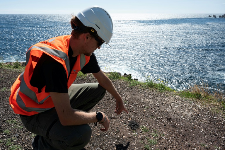 Contaminées par l'industrie pendant deux siècles, des Calanques de Marseille bientôt dépolluées