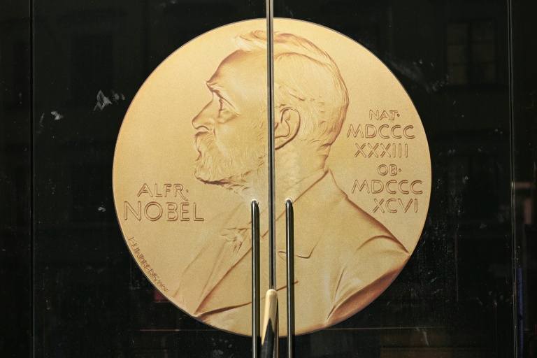 Nobel d'économie : intelligence artificielle ou écart de richesse pour clore la saison 2025 Nobel d'économie : intelligence artificielle ou écart de richesse pour clore la saison 2025