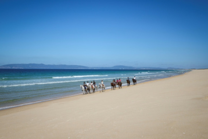 Des touristes se promènent à cheval sur la plage de Comporta, le 11 septembre 2025 au Portugal - Patricia DE MELO MOREIRA (AFP)