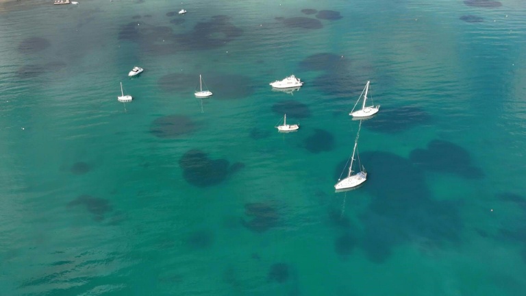 La Grèce se met à l'écomouillage pour protéger les herbiers des fonds marins