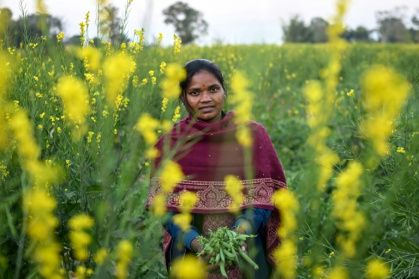 Chandmani Kerketta, spécialiste de l'annotation de données par IA, dans un champ de la ferme familiale du village de Parchuttu, dans l'État du Jharkhand, le 15 janvier 2026 en Inde - Arun SANKAR (AFP)
