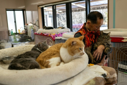 Toru Akama, ancien employé de centrale nucléaire, s'occupe des chats qu'il a recueillis lors d'un entretien avec l'AFP dans son refuge pour animaux à Namie, dans la préfecture de Fukushima, le 5 mars 2026 au Japon - Philip FONG (AFP)