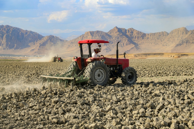 La recrudescence des chaleurs extrêmes pousse l'agriculture mondiale "à bout"