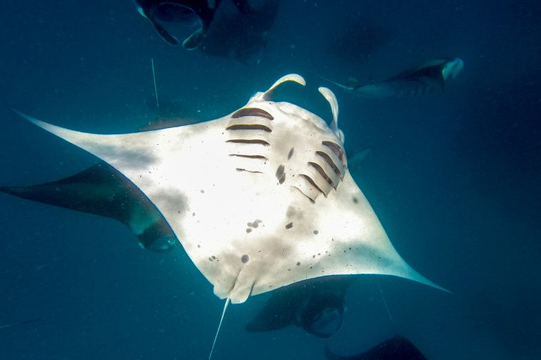 Les ministres du G7 à Paris pour parler d'environnement... en évitant les sujets qui fâchent