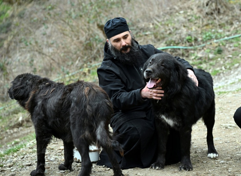 Dans les montagnes de Macédoine du Nord, le combat pour la reconnaissance des chiens Karaman