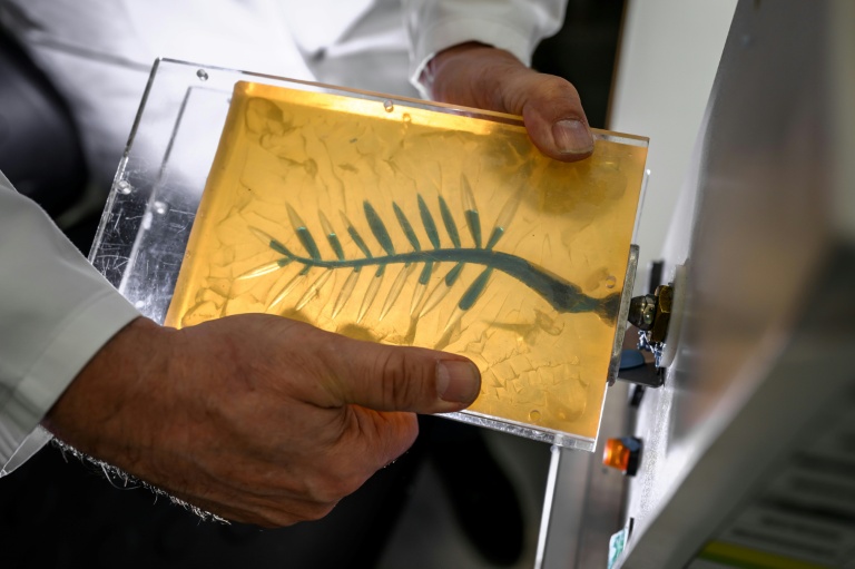 Cannes : dans les coulisses de la fabrication de la Palme d’or