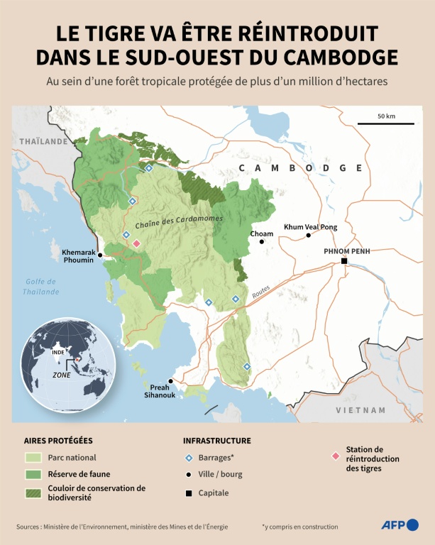 Cambodge : le retour du tigre pas toujours vu d'un bon œil