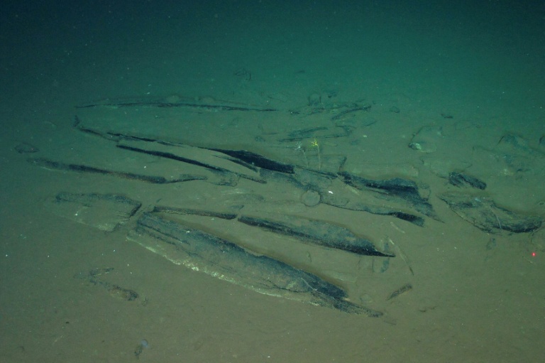 Au fond de l'océan Indien, un stupéfiant cimetière de baleines