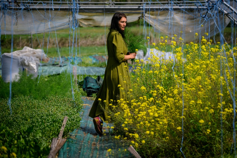 Dans l'agriculture, le parcours des combattantes