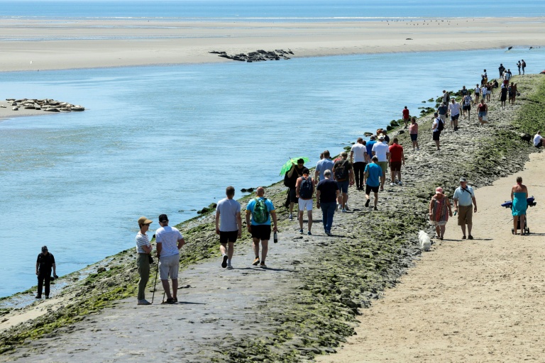Dans les Hauts-de-France, le défi de concilier quiétude des phoques et tourisme