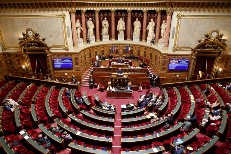 Sénatoriales: le RN débarque en force à la chambre haute