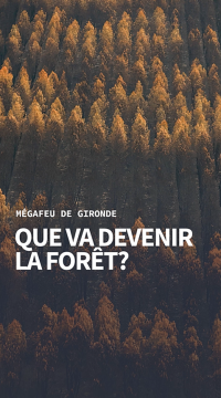 megafeu gironde.png